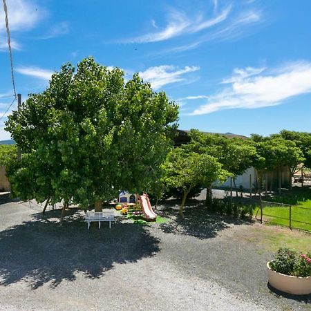 Agriturismo Case Nuove Castellina Marittima Bagian luar foto